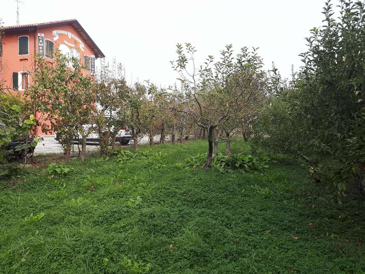 Quadrifoglio Relax Guest House San Dona di Piave Exterior photo